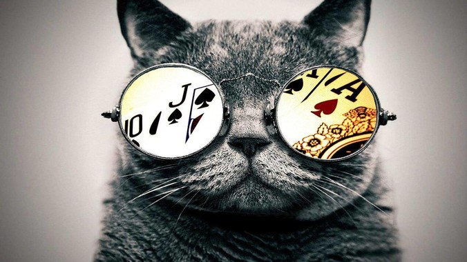 Golang 的 Web 框架该怎么选择？Web 开发又该怎样学？